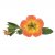 Småpetunia, Stickling, Million Bells Superbells ™ Honey Peach 3-pack