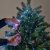 Ljusslinga Bunt Micro LED 823st 240cm