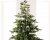 Ljusslinga Bunt Micro LED 320st 100cm