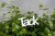 Tack stick Vit 5x3cm
