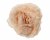 Ros Clip Beige 58x19x19cm