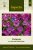 Petunia, Dot Star Dark Violet F1