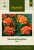 Tagetes, Sammets-, Glow