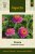 Zinnia Zinderella Purple