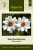 Zinnia, Maryland-, Zahara White