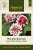 Zinnia, Maryland-, Zahara Double Raspberry Ripple