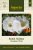 Vallmo, Enkel, 'Sissinghurst White'