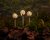 Solcell LED Vit 6x27,5x26cm 6-pack