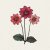 Dahlia, Sommar-,Bishop´s Children