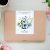 Fröbox Wild Bouquets Nigella Collection