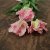 Tulpan Mix Sweet Dreams 30st