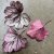 Heuchera villosa Carnival Rose Granita