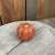 Pumpa Fenja Orange Stor Mix