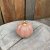 Pumpa Fenja Rosa Stor Mix