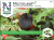 Micro Leaf, Pak Choi, 'Red Wizard'