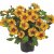 Petunia, Stickling, BeautiCal ™ Caramel Yellow
