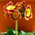 Primula pubescens, Trädgårdsaurikel, P9cm
