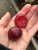 Prunus cerasifera Spidola, Körsbärsplommon