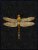 Poster Dragonfly Black 30x40cm
