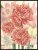 Poster Peonies & Lilies 30x40cm