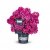Rhododendron hybr. Grazeasy ® - Inkarho, Rododendron Inkarho
