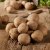 Sättpotatis Connect 1kg - Årets Potatis 2020!
