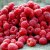 Rubus idaeus Preussen, Hallon