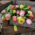 Tulpan Mix Spring Joy 30st