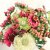 Fröbox Wild Bouquets Zinnia Collection