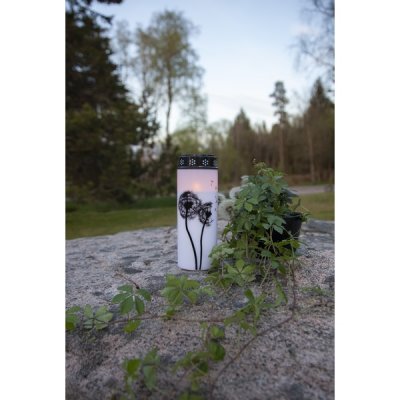 Gravljus Dandelion LED 21cm