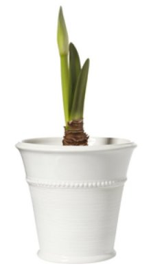 Kruka Livia Vit 16x16cm