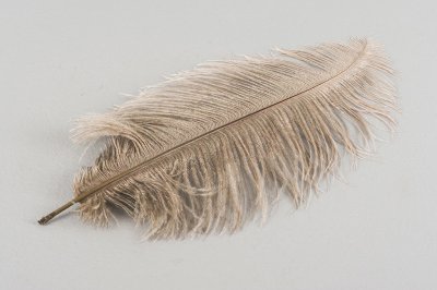 Strutsfjäder Mullvad 40-45cm