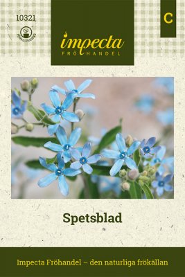 Spetsblad