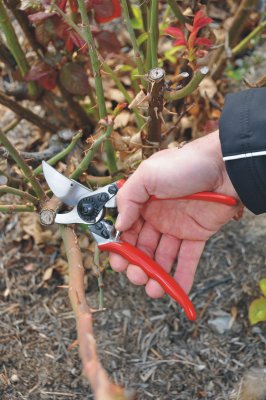Sekatör Felco 11
