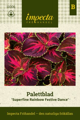 Palettblad, Superfine Rainbow Festive Dance
