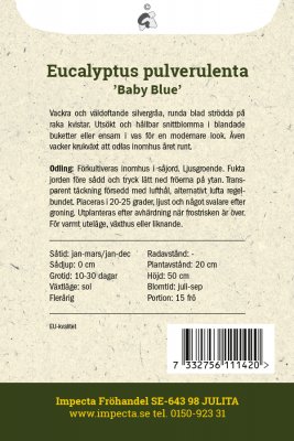 Eukalyptus Baby Blue
