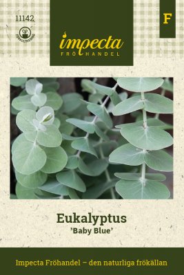 Eukalyptus Baby Blue