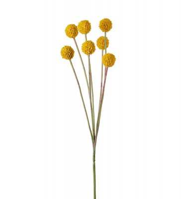 Craspedia 60 cm, Konstgjord