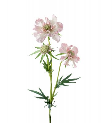 Scabiosa 70 cm, Konstgjord