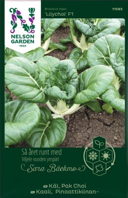 Kål, Pak Choi, Lilychoi F1