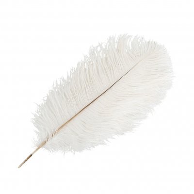 Strutsfjäder Vit 35-40cm
