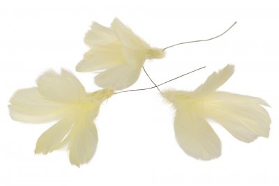 Fjäder Blom 12-pack Ljusgul