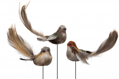Fågel stick Vingar Natur 11cm