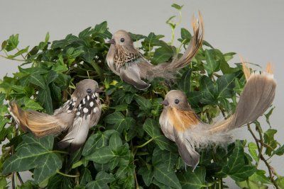 Fågel stick Vingar Natur 11cm
