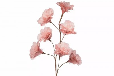 Kvist Fjäderblomma Gammelrosa 100cm