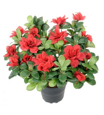 Azalea Röd 25cm, Konstgjord