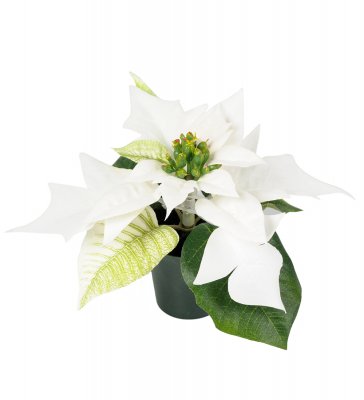 Julstjärna Vit 10cm, Konstgjord