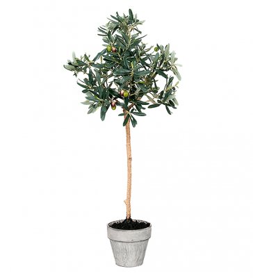 Olivträd Grön 85cm Krona 15x13cm, Konstgjord