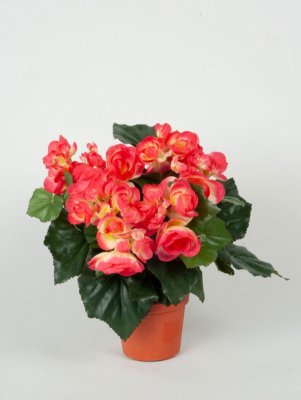 Begonia Cerise 30cm, Konstgjord