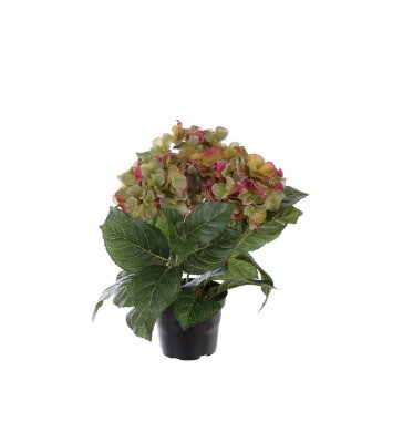 Hortensia Cerise/grön 30cm, Konstgjord